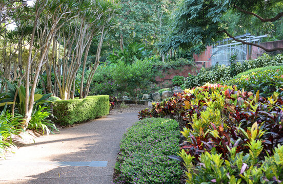 Concrete pathway winding through tropical gardens with crotons at the Roma Street Parkland in Brisbane, Queensland, Australia
