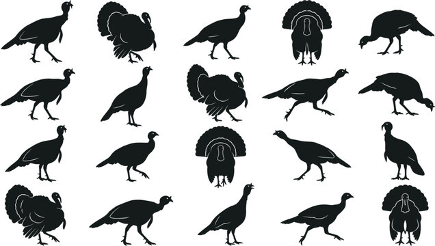 A comprehensive thanksgiving turkey bundle featuring various black silhouette illustrations of wild birds in different poses isolated on a plain white background design