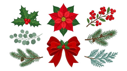 Poinsettia, holly leaves, berry branch, eucalyptus, pine branch, cedar, ribbon, bow. vector iocn , white background    © Natasa Akter 