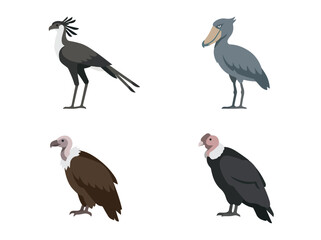 Obraz premium Collection of four realistic illustrations of different types of birds including a black stork, a heron, a vulture