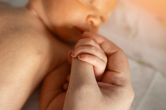 Delicate newborn baby hand clasps adult finger showing pure love and family bond between parent and child