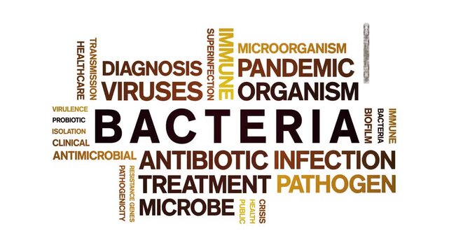 Bacteria animated word cloud-text design animation tag kinetic typography seamless loop.