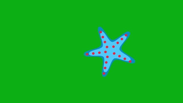 Starfish sea creature green screen chromakey background 2d animated cartoon animation ocean marine beach underwater nature animal concept icon loops smoothly on chroma key