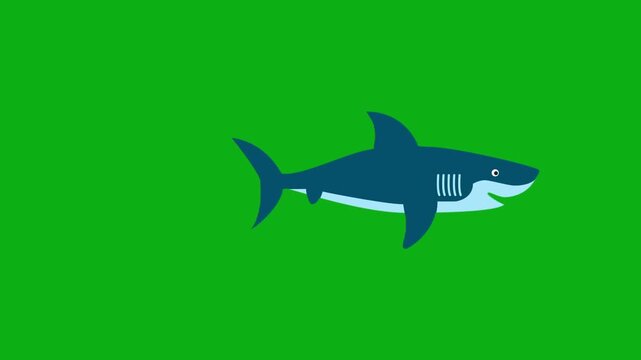 Shark fish ocean green screen chromakey background 2d animated cartoon animation sea marine predator animal danger water concept icon loops smoothly on chroma key