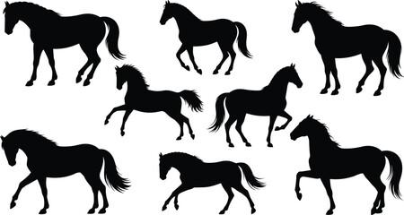Obraz premium Horse Silhouette Collection with Running Walking and Standing Equine Vector Set