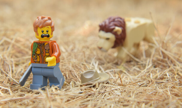 Lego minifigure of a ranger with machete is running away from the lion in the natural dried grass field. Editorial illustrative image of popular plastic toy.