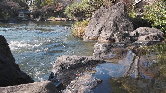 Water flows gently over large stones in a serene japanese style garden pond scene