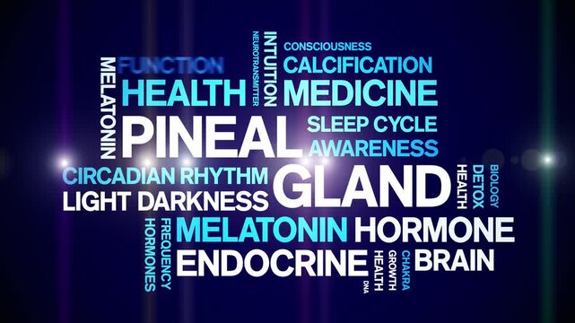 Pineal Gland animated word cloud-animation tag kinetic typography seamless loop.