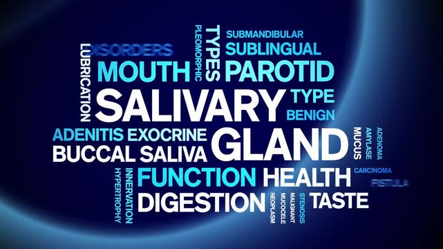 Salivary Gland animated word cloud-animation tag kinetic typography seamless loop.