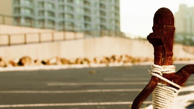 A rusty anchor is positioned close to a waterfront. It rests on the ground with a rope wrapped around it. Tall buildings are visible in the background under morning sunlight.
