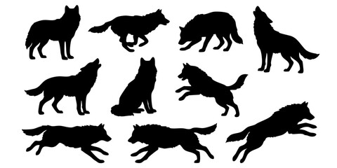 Obraz premium Black Silhouette Collection of Wild Wolves in Various Dynamic Action Poses and Natural Behaviors