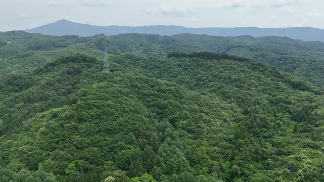 北上川と岩手山の緑をドローン空撮 2025年7月撮影