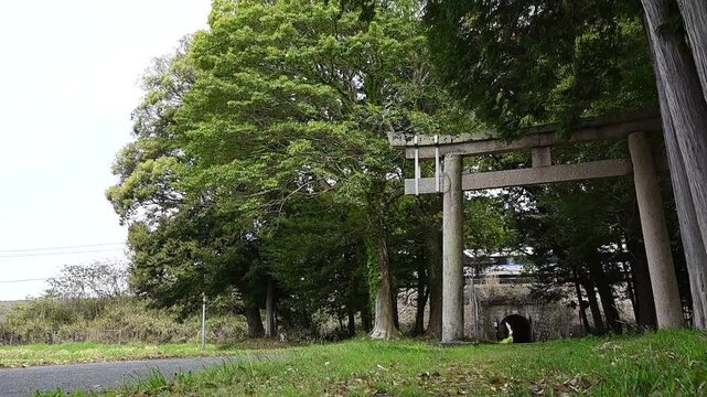 長嶋神社を通過する特急サンダーバード （東海道本線 野洲～篠原, 2026年4月）