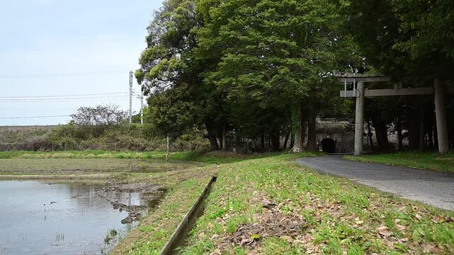 長嶋神社を通過する特急サンダーバード （東海道本線 野洲～篠原, 2026年4月）