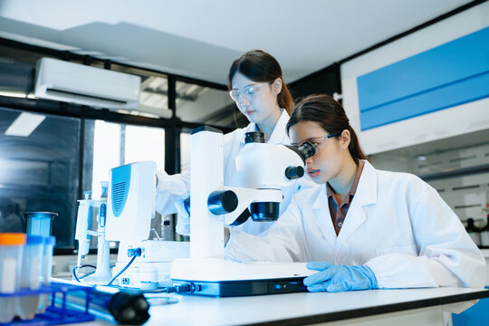 Two scientist or medical technician working, having a medical discuss meeting with an Asian senior female scientist supervisor in the laboratory with online reading, test sample
