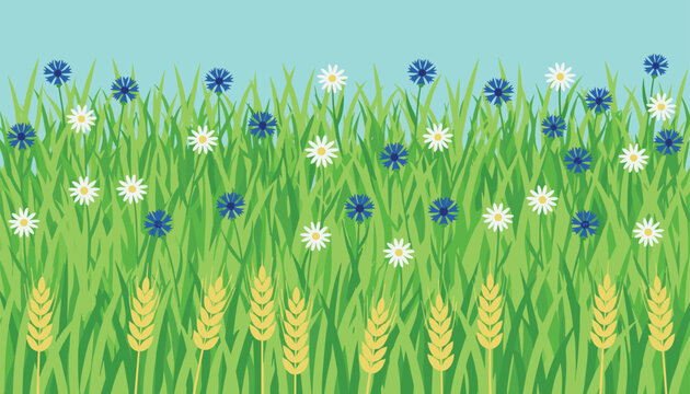Lush green meadow filled with yellow wheat ears, blue cornflowers, and white daisies stretching under a clear sky.