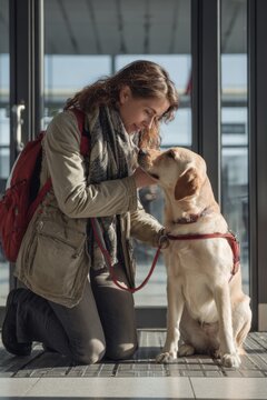 Dog supports person with invisible disability in public space during daytime