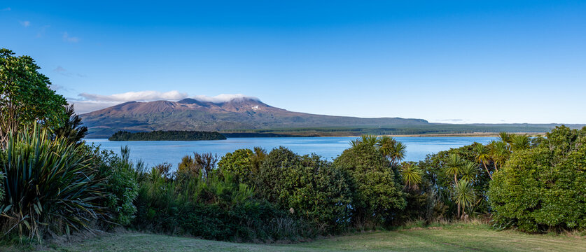 Lake Rotoaira, Mount Tongariro, Neuseeland, Cordyline australis, Motuapu Island, Vulkan mit Geothermaldampf und Wolken am See