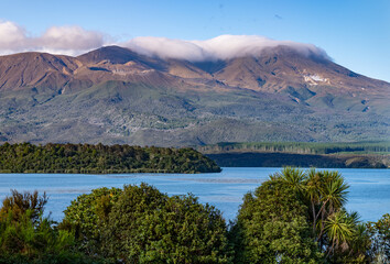 Lake Rotoaira, Mount Tongariro, Neuseeland, Cordyline australis, Motuapu Island, Vulkan mit Geothermaldampf und Wolken am See © stylefoto24