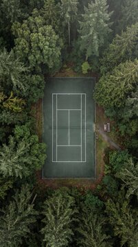 Aerial view of a green tennis court in a forest with surrounded dense forest environment recreation landscape leisure hobbies outdoor sports nature trees