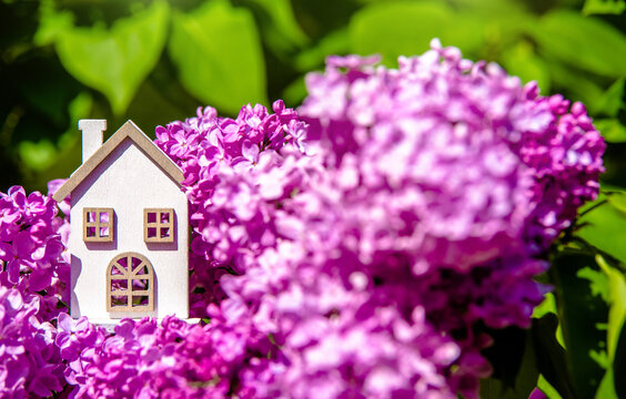 The symbol of the house among the branches of the pink lilac
