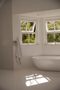 Oval white bathtub sitting near open sash windows with potted plant, sunlight casting grid shadow