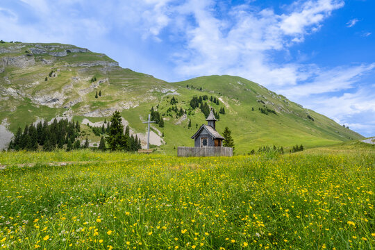 Alpe Wurzach, Mellau, Bregenzerwald, State of Vorarlberg, Austria