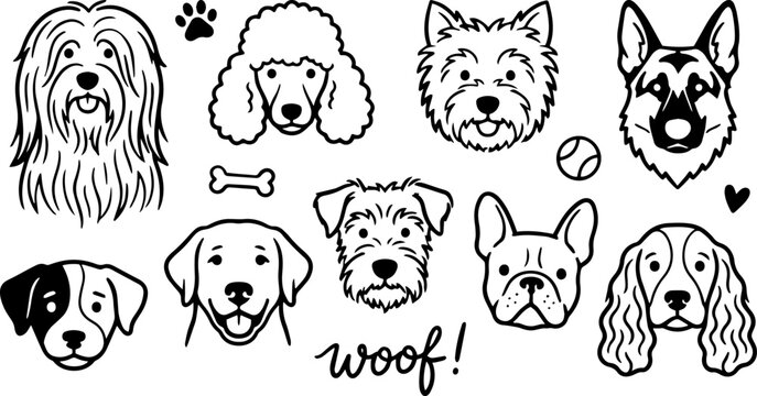 Hand-Drawn Dog Breed Faces Vector Doodles Set