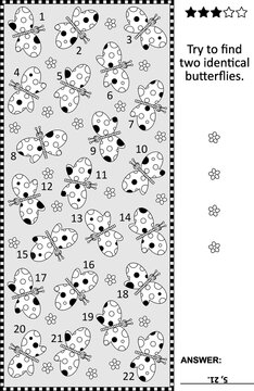 Find two identical butterflies visual puzzle. Answer included.
