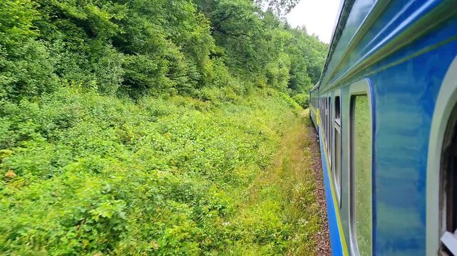 A cinematic view from the side window of a moving passenger train passing through a dense green forest. Fresh summer landscape, railway travel, transportation, adventure, eco-tourism
