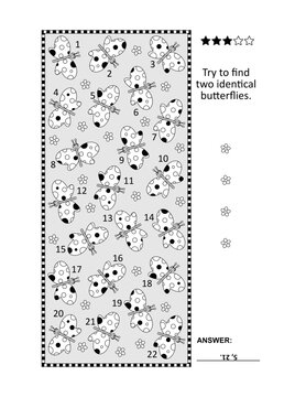 Find two identical butterflies visual puzzle. Answer included.
