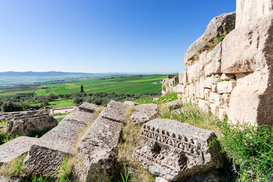 Carved stone remains among ruins of ancient Dougga