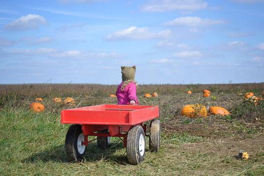 Small child in red wagon at a pumpkin patch