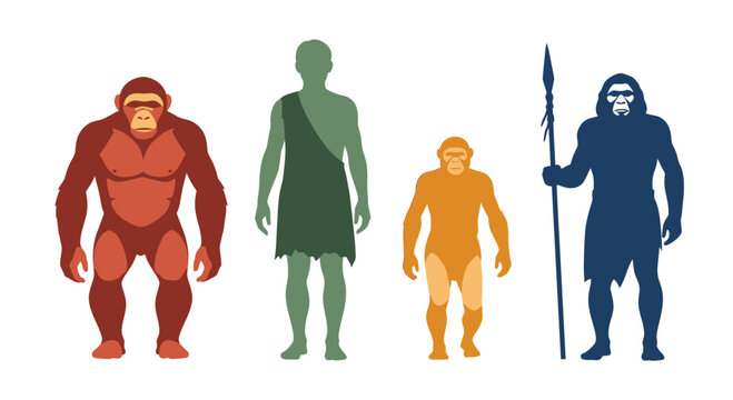 Evolution of Humans and Apes: From Primates to Modern Man