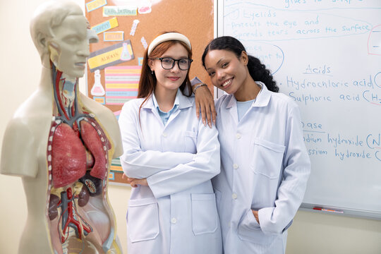 Portrait two female scientist working and explaining with anatomy model in laboratory