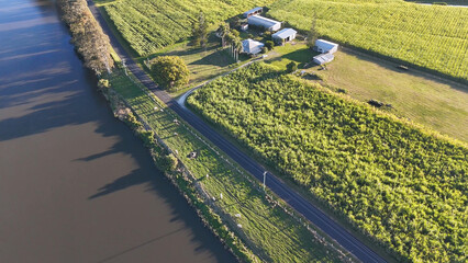 Obraz premium Aerial View of Sugarcane Farm and River in Rural Australia