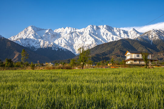 A picturesque landscape in Nagri, Himachal Pradesh, India, with the Dhauladhar Mountains towering over a lush green field and a modern house.