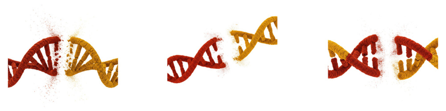 Red and yellow dna strands breaking apart on a dark black background