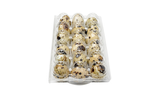 Quail eggs in a transparent plastic container, isolated on transparent background