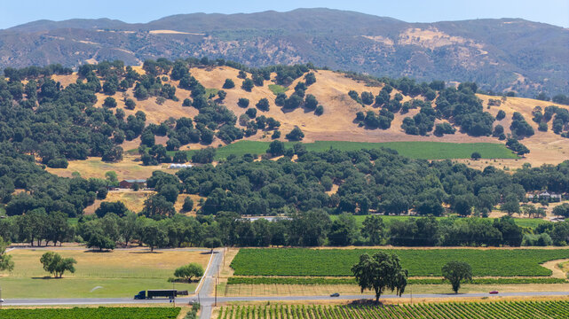 Vineyards And Rolling Hills Cut By Rural Roads In California Valley