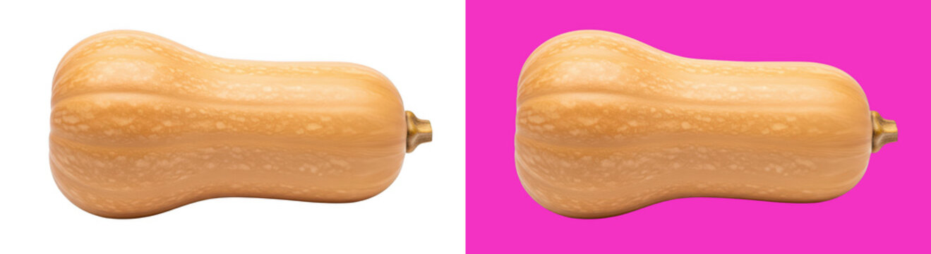Fresh organic butternut squash
