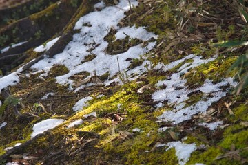 Fototapeta premium 美作アルプス 後山 駒の尾山 船木山