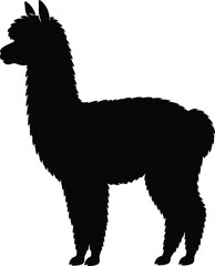 A simple black silhouette of a llama standing isolated on a plain white background for design projects © JUWEL