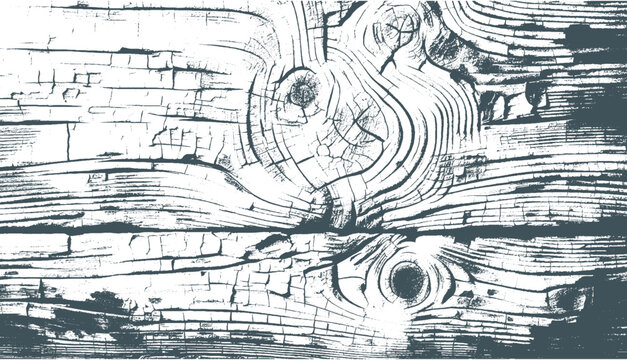 wood grain texture with a transparent background