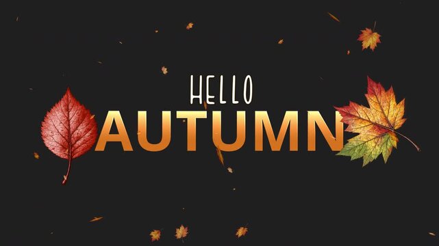Autumn sale special offer text title animation with falling red and orange maple leaves isolated on transparent alpha background 4k 4