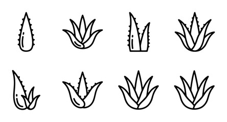 Obraz premium 70 Aloe Vera Plant Icons, Succulent Vector Graphics, Botanical Line Art Set, Herbal Medicine Illustrations 100