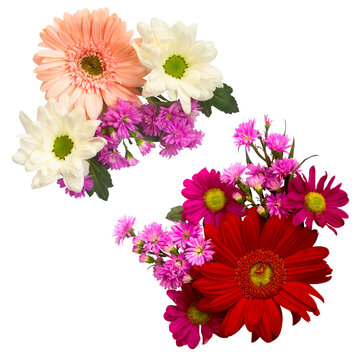 Colorful Flowers Arrangement Daisy, Gerbera, Aster, Top View, Transparent Background Ornaments for Wedding Card or Greeting Card