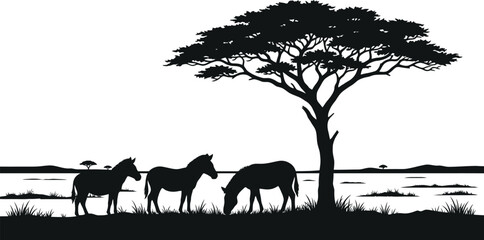 Minimalist black and white silhouette illustration of zebras grazing under an acacia tree on the savanna with silhouette wildlife landscape grassland illustration monochrome minimalist © HASNA