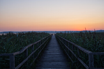 Obraz premium Golden Sunrise over Federsee Wetlands in Southern Germany