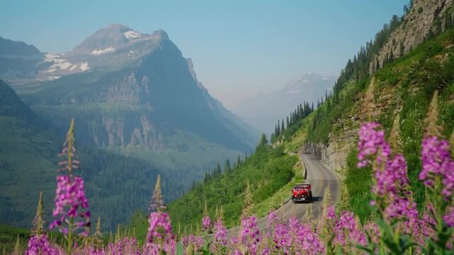 Red vintage tour bus driving along winding mountain highway surrounded by blooming purple wildflowers and towering alpine peaks in sunny Glacier National Park